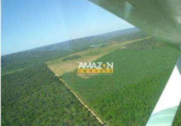 Òtima fazenda em benedito leite-ma