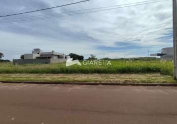 Terreno à venda, loteamento nexus, tocantins, toledo - pr