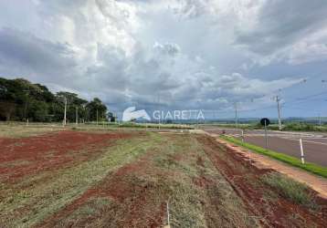 Terreno à venda, oportunidade única ,vila becker, toledo - pr