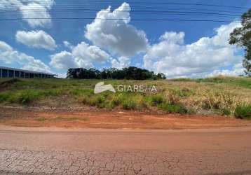 Terreno à venda, ótima localização jardim tocantins, toledo - pr.