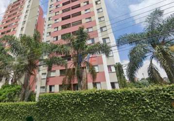 Ref: 15.554 lindo apto no jd santa terezinha (zona leste), com área útil 50 m²,  2 quartos, sala, cozinha, banheiro, área de serviço e lazer.