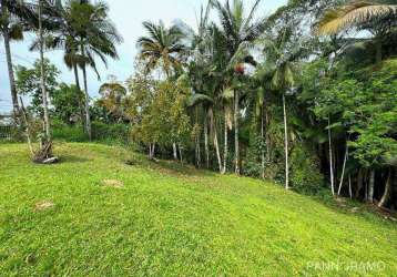 Terreno à venda, 600 m² por r$ 435.000,00 - itoupava norte - blumenau/sc