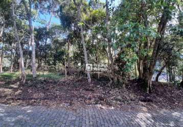 Terreno à venda, 480 m² por r$ 200.000,00 - vargem grande - nova friburgo/rj