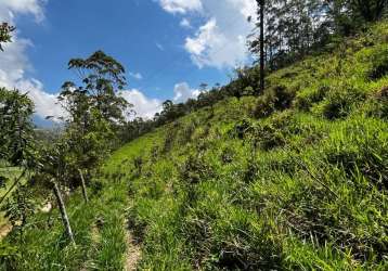 Terreno à venda, 503 m² por r$ 70.000,00 - campo do coelho - nova friburgo/rj