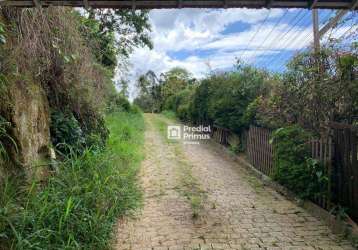 Terreno à venda, 6100 m² por r$ 1.100.000,00 - chácara paraíso - nova friburgo/rj