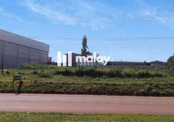 Terreno para venda em cascavel, pacaembu