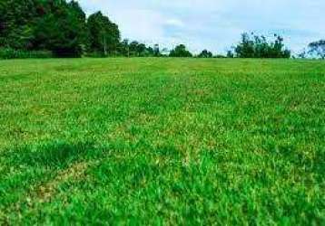 Terreno para venda em ribeirão preto, parque das oliveiras ii