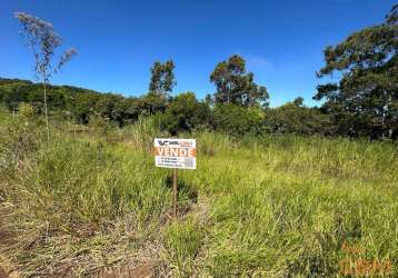 Terreno à venda em maringá, jardim das flores, com 466.48 m²