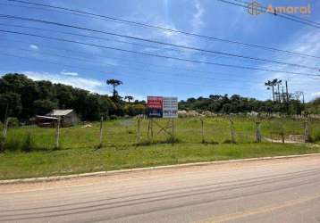 Terreno à venda, 6500 m² por r$ 3.350.000,00 - cic - curitiba/pr