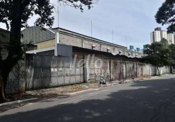 Terreno comercial para alugar na rua terceiro-sargento joão soares de faria, --, vila maria, são paulo, 4800 m2 por r$ 100.000