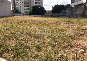 Terreno comercial para alugar na rua clélia, --, perdizes, são paulo, 1625 m2 por r$ 50.000