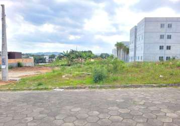 Terreno para venda em criciúma, floresta