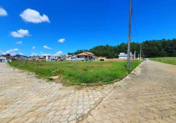 Terreno para venda em criciúma, brasilia