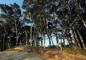 Lote/terreno vista para balneário camboriú à venda, cedros - camboriú