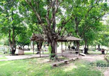 Chácara para venda,  jardim humaita, cuiabá - ch6006