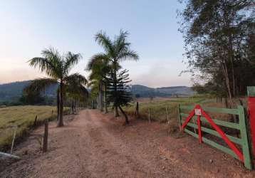 Fazenda com 3 salas à venda na rua doutor constâncio cintra, 863, silvestre, amparo, 605 m2 por r$ 1.890.000