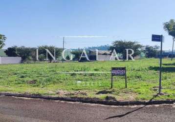 Terreno comercial para venda em floresta, nova floresta i