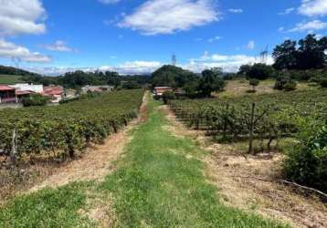 Área rural para venda no bairro traviú - jundiaí/sp