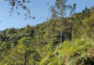 Terreno com uma área de 1.226m² em condomínio