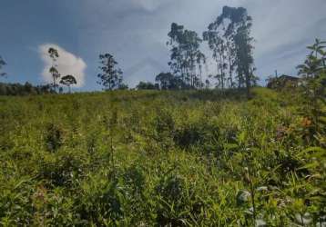 Terreno de 4.200m² no limoeiro