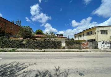 Casa para aluguel, 3 quartos, 1 suíte, 3 vagas, jiquiá - recife/pe