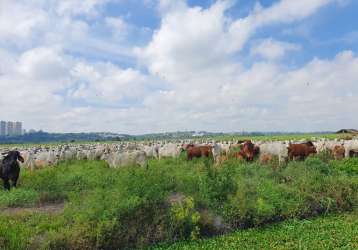 Fazenda plana no vale do paraiba