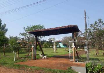 Chácara à venda, 2500 m² por r$ 420.000,00 - fazenda vale fértil - londrina/pr