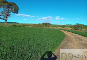 Sítio a venda na região de sorocaba-sp, com 22 alqueires, formardo em lavoura e pasto, topografia plana e semi plana, terra mista e casa com varanda