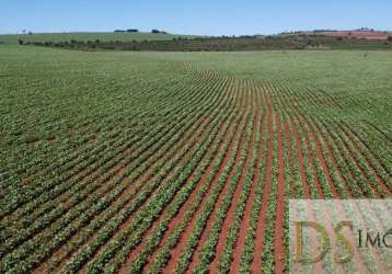 Excelente fazenda a venda em itaí-sp, área total de 50 alqueires,  terra vermelha, topografia plana a semi plana, casa sede e barracão