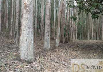 Fazenda com eucalipto a venda no estado de são paulo, com área total de 216 alqueires, 130 alqueires em eucalipto e ótima logística