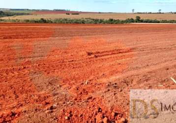 Excelente fazenda em cana à venda em presidente prudente/sp: 1.275 alqueires de oportunidade