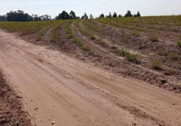 Fazenda à venda na rua p, 124, parque das nações, santa bárbara d'oeste por r$ 11.160.000