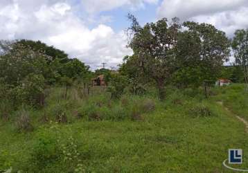 Sitio dupla aptidão para venda em floriano-pi com 70,5 hectares, atual na pecuária, terra boa para lavoura, beira do asfalto, benfeitorias, agua