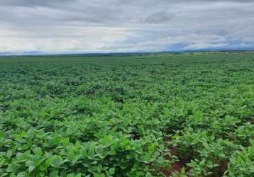 Fazenda para venda na região de itaja-go com 798 hectares na soja, área ideal para lavoura, colhe safrinha, altitude 780 m