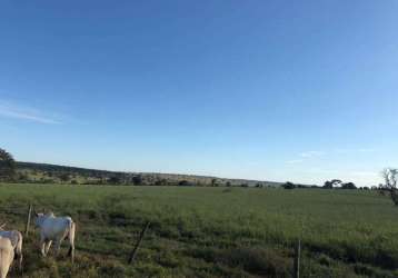 Fazenda dupla aptidão na região de anaurilandia-ms com 150 alqueires formada na pastagem e muitas benfeitorias