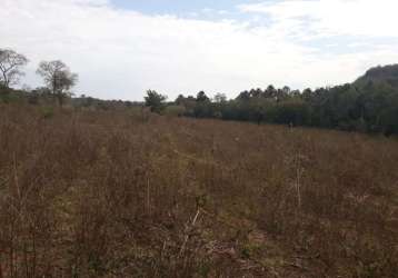 Fazenda para venda na região de rochedo-ms com 210 hectares em braquiara, rica em agua com 2 corregos, sem benfeitorias