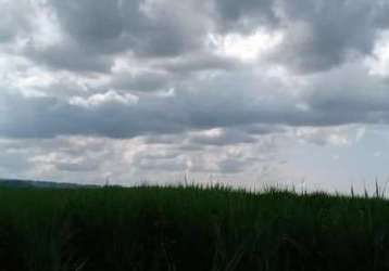 Fazenda para venda na região de ribeirao preto-sp com 298 alqueires sendo 208 alqueires em cana arrendada, beira da pista, ótima logística para usinas