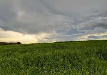 Fazenda dupla aptidão para venda na região de bertolinia-pi com 2.450 hectares, montada na pecuária, benfeitorias, porteira fechada