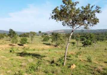 Fazenda dupla aptidao para venda na região de biquinhas-mg com 419 hectares atual na pecuária e eucalipto, ideal para lavora irrigada, beira de rio