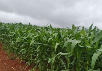 Area / sitio para venda na região de capitólio-mg com 62 hectares, beira da represa, atualmente em lavoura de grãos, ideal também para loteamento e in