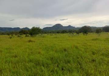 Fazenda dupla aptidão para venda na região de centenario-to com 3.100 hectares, aproveita 1.500 hectares para lavoura, boa de agua, benfeitorias