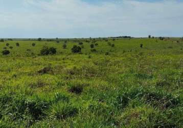 Fazenda para venda na região de sonora-ms com 342 alqueires montada na pecuária, rica em agua e benfeitorias