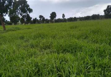 Fazenda para venda na região de paranaiba-ms com 183 alqueires montada na pecuária, rica em agua e benfeitorias