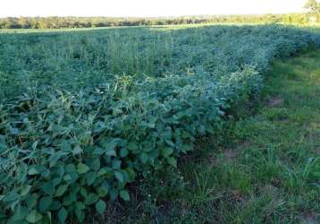 Fazenda para venda na região de jardim -ms com 163 alqueires na lavoura de soja e milho, beira do asfalto, rica em agua, roda pivô