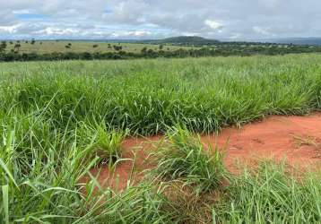 Fazenda dupla aptidão para venda na região de cassilandia-ms com 128 alqueires, aproveitamento 118 alqueires, montada na pecuária