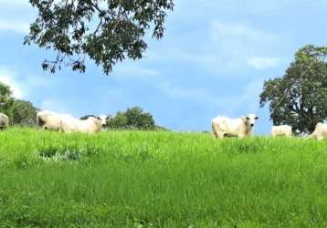 Fazenda dupla aptidão para venda em campina verde-mg com 222 hectares na pecuária, aproveita 75% para plantio