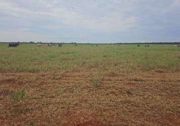 Fazenda dupla aptidão para venda na região de selviria-ms com 245 alqueires, pecuária, roda pivô irrigação, rica em agua, porteira fechada