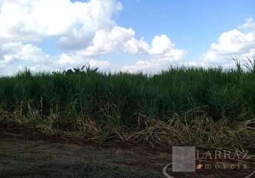 Fazenda para venda na região de são carlos-sp, com 399 alqueires sendo 290 alqueires em cana mais pasto, muitas benfeitorias