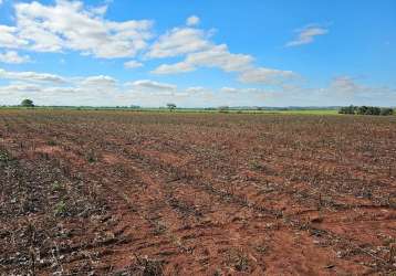 Fazenda para venda na região de presidente prudente-sp com 60 alqueires sendo 50 alqueires agricultáveis para cana, soja, algodão e etc