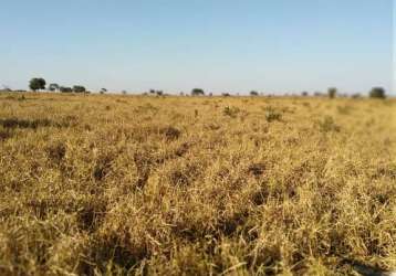 Fazenda dupla aptidao para venda na região de paranaiba-ms com 535 alqueires sp montada na pecuária, rica em agua